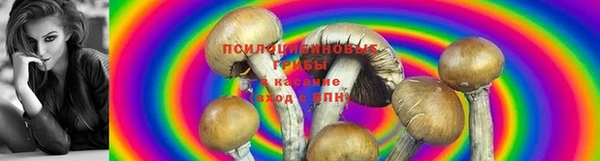 спиды Балабаново