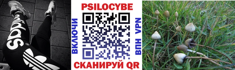 Галлюциногенные грибы мухоморы  blacksprut ссылка  Краснокамск 